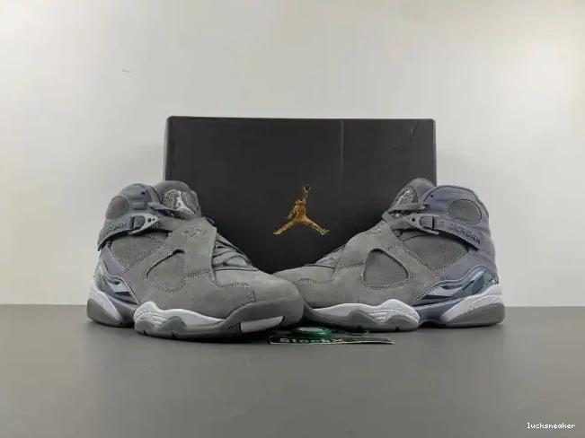 Rep LUCY Retro 305381-014 Jordan Cool Grey 8 0602